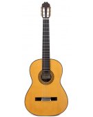Profesor 640 Spruce