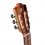 Alhambra Green Sustain Classical