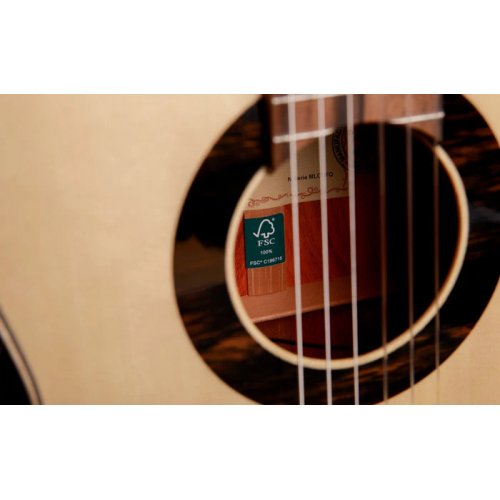 Green Sustain Classical