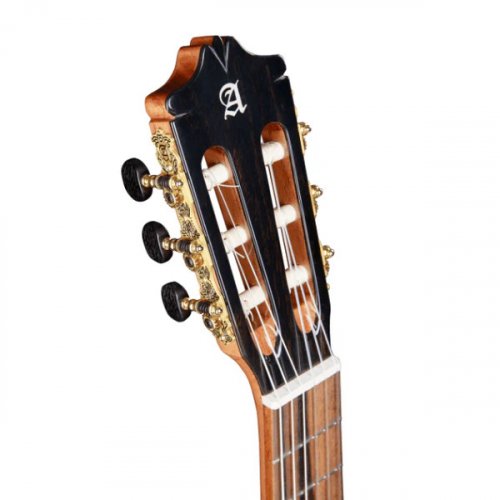 Green Sustain Flamenco