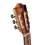 Alhambra Green Sustain Cutaway E8