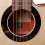 Alhambra Green Sustain Cutaway E8