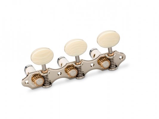 Clavijero Schaller Grandtune Hauser 10163