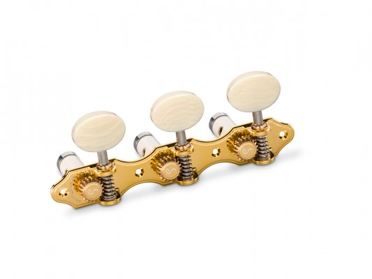 Clavijero Schaller Grandtune Hauser 10563