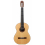 Francisco Javier Riquelme – Flamenco Negra