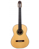 Model 50 Spruce 2025