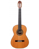 Model 12 - 630 Cedar