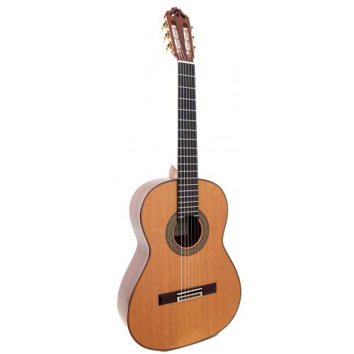 Modelo 12 - 630 cedro