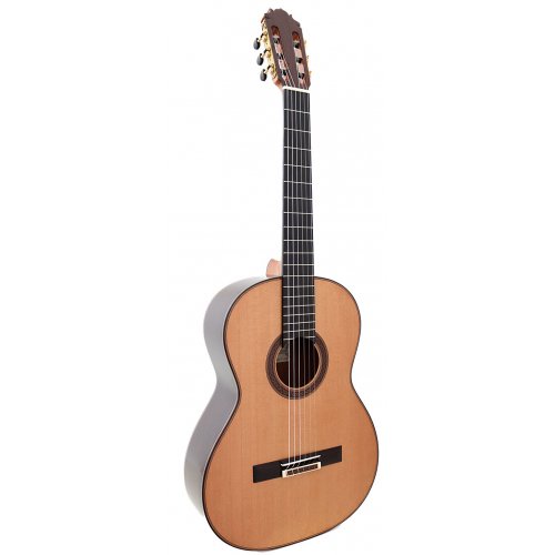 Modelo Concierto Doble Tapa 640 cedro