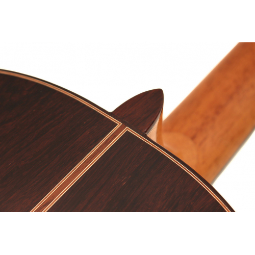 Modelo Concierto Doble Tapa 640 cedro