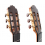 Paulino Bernabe Model 50 Spruce - 2025