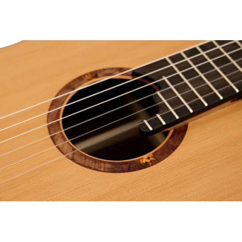 Opus Virtuoso 2026
