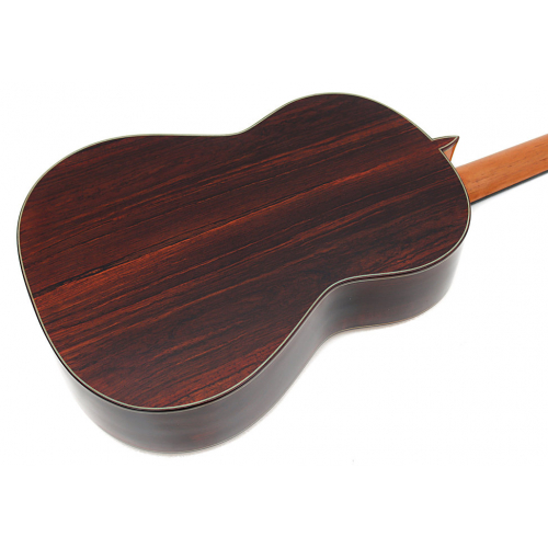 Model 50 Spruce 2025