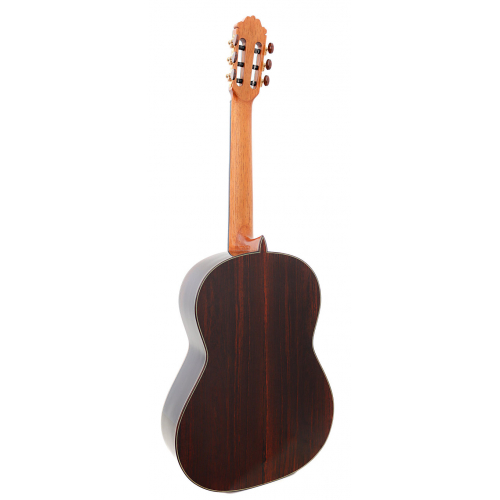 Model 50 Spruce 2025