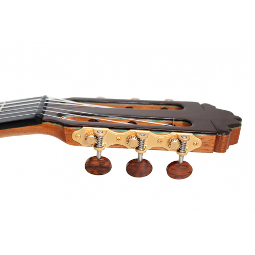 Model 50 Spruce 2025