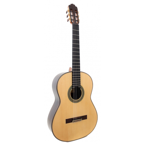 Model 50 Spruce 2025