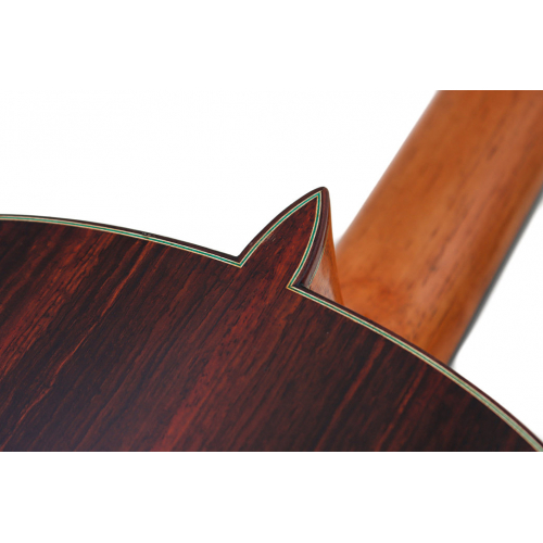 Model 50 Spruce 2025