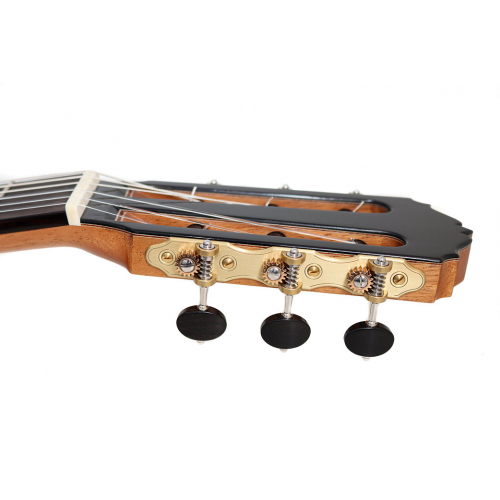 Concierto Doble-Tapa 2026