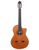 2000 Cedar Pro Blend