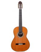 Flamenco Profesor Negra Cedro