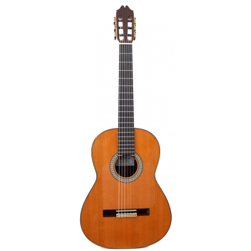 Flamenco Profesor Negra cedro