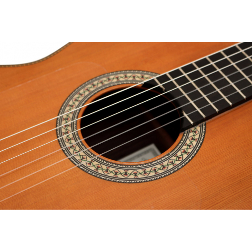 Flamenco Profesor Negra cedro