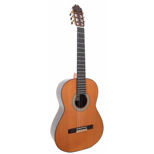 Flamenco Profesor Negra cedro