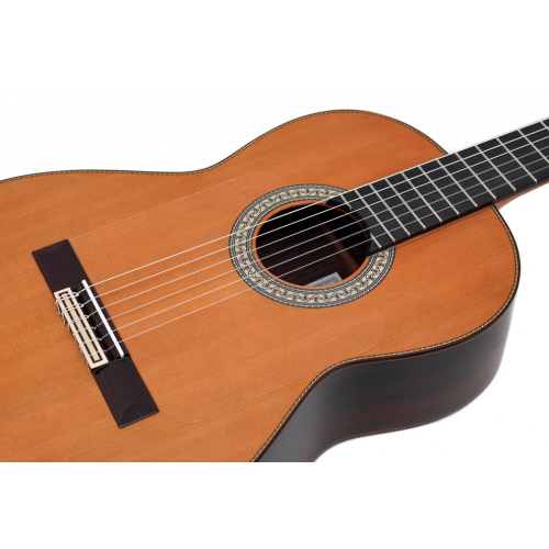 Flamenco Profesor Negra cedro