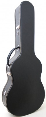 Hard Case 10 Strings Guitar