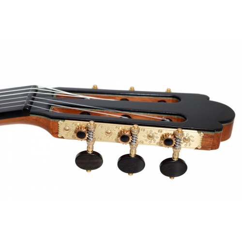 Torres (1864) Mg 2026