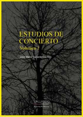 Estudios De Concierto I