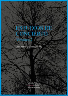 Estudios De Concierto Vol Ii