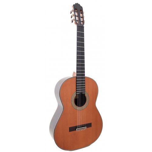Paulino bernabe guitar for sale store