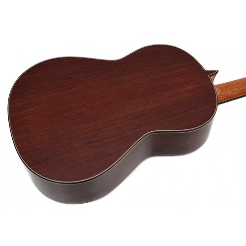 Model 20 cedar