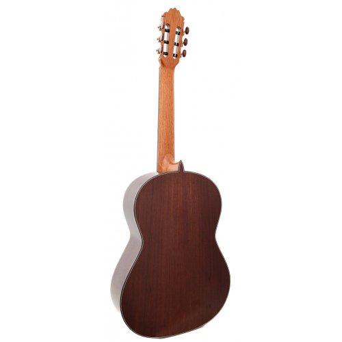 Model 20 cedar