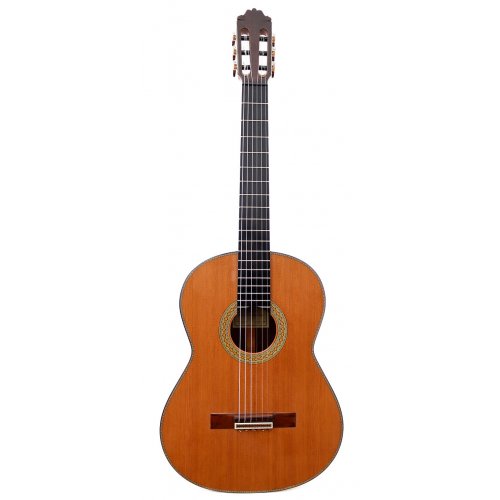 Model 20 cedar