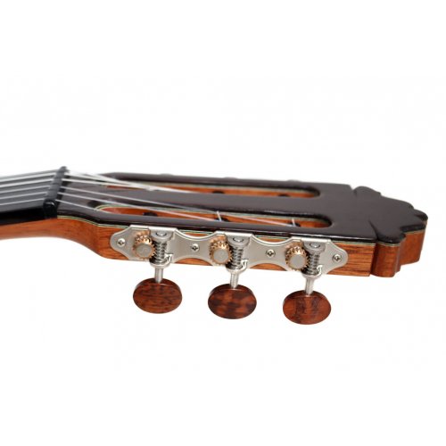Model 20 cedar