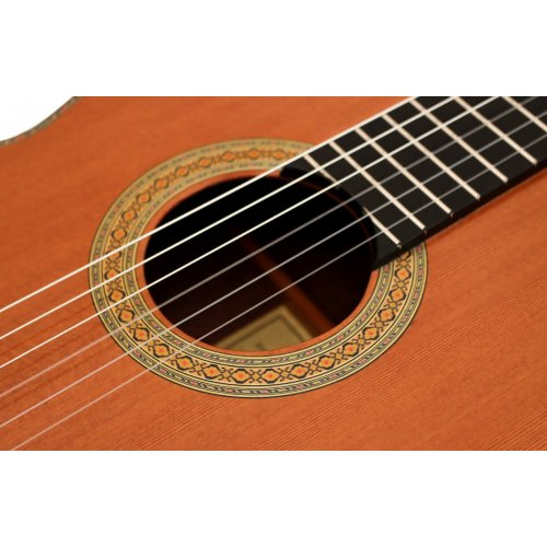 Model 20 cedar