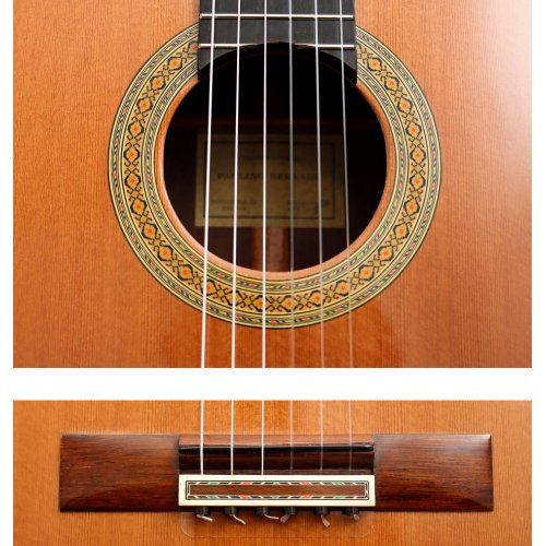 Model 20 cedar