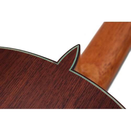 Model 20 cedar