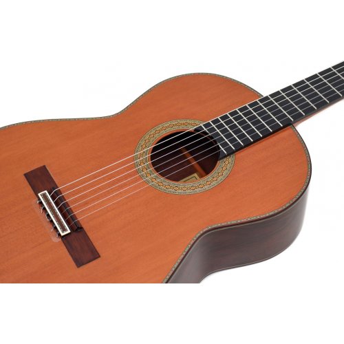 Model 20 cedar