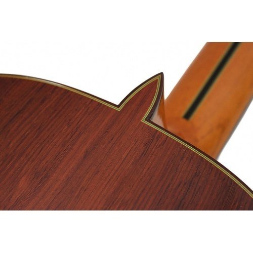 Model 20 cedar