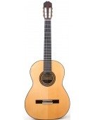 Modelo 129