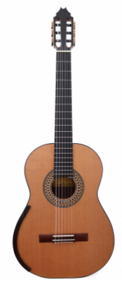 Fernando Mazza - Model Double Top 2025