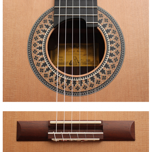 Model Double Top 2025