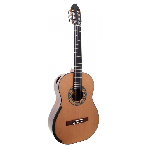 Model Double Top 2025