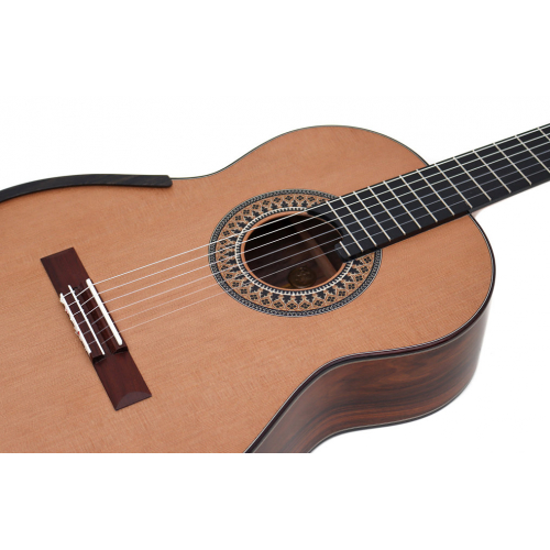 Model Double Top 2025