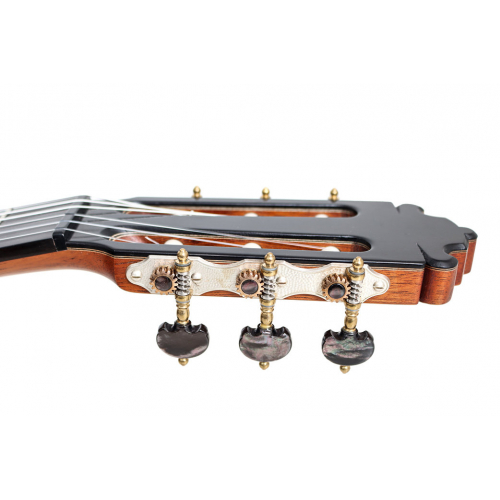 Goldenberg Nr 1 2026