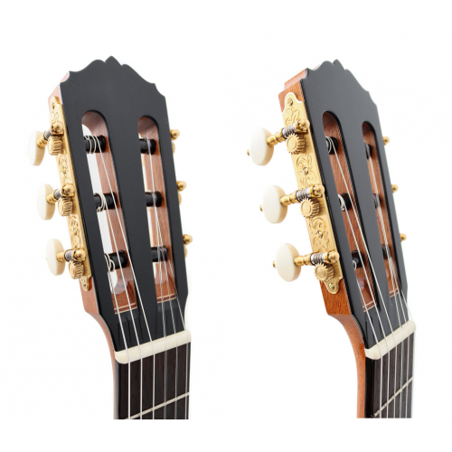 Concert Double-Top 2026