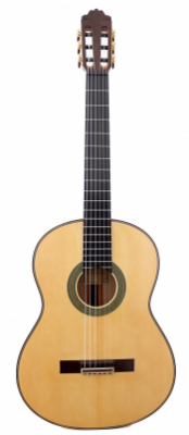 Paulino Bernabe, Flamenco Blanca 2025